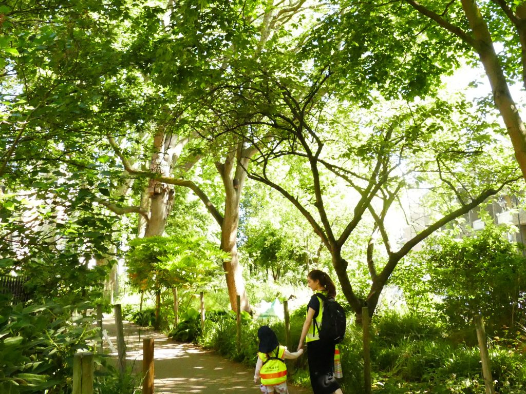 student walking with her teacher down a forest route